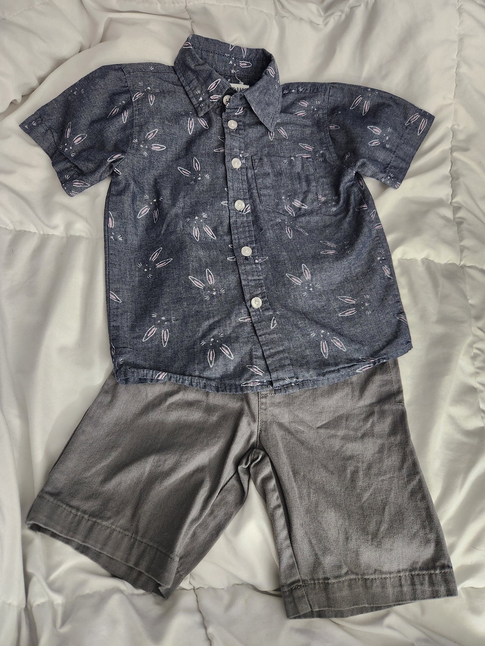 Boys Blue Short-Sleeve Button-Up Shirt with Gray Shorts